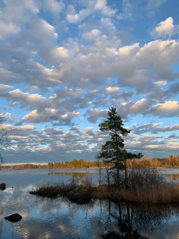 Haavejärvi - озеро мечты! Уютный дом на берегу озера в сосновом лесу