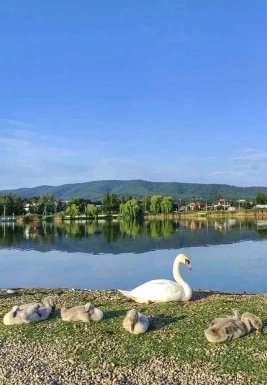 Коттедж Апартамент в курортной зоне с видом на горы — Горячий Ключ