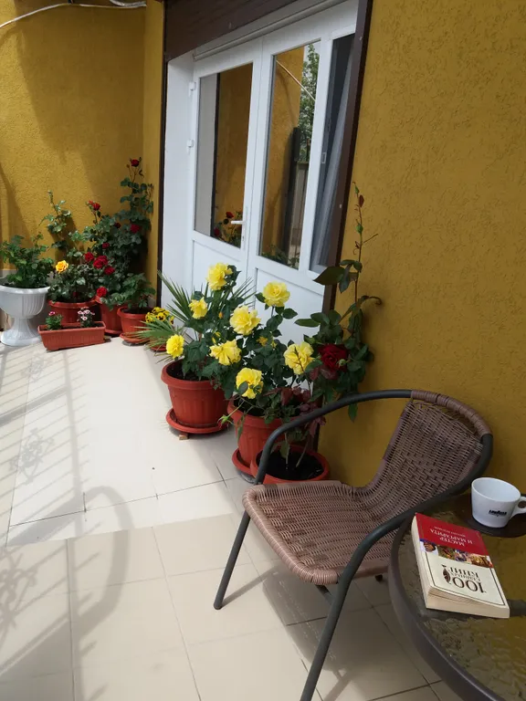 Студия с террасой