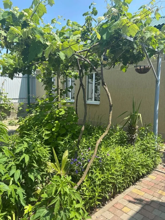 Уютный дом у моря