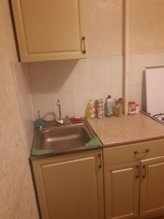 Уютная квартира около озера рядом со спорткомплексом Северная звезда