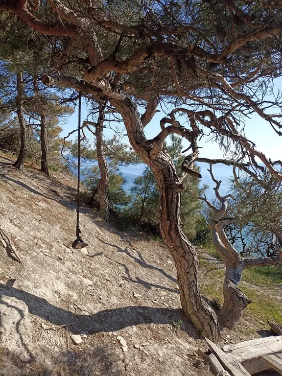 Евродвушка в долине Сукко