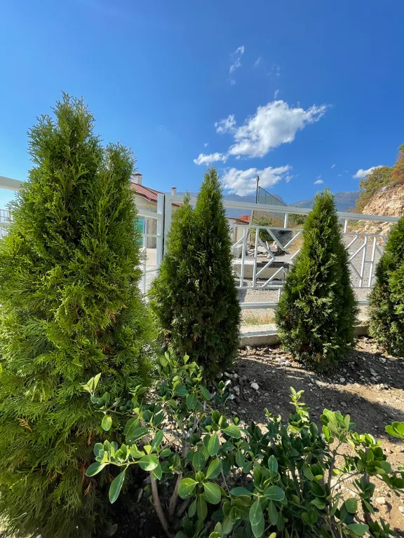 Апартаменты Gurzuflife premium luxe