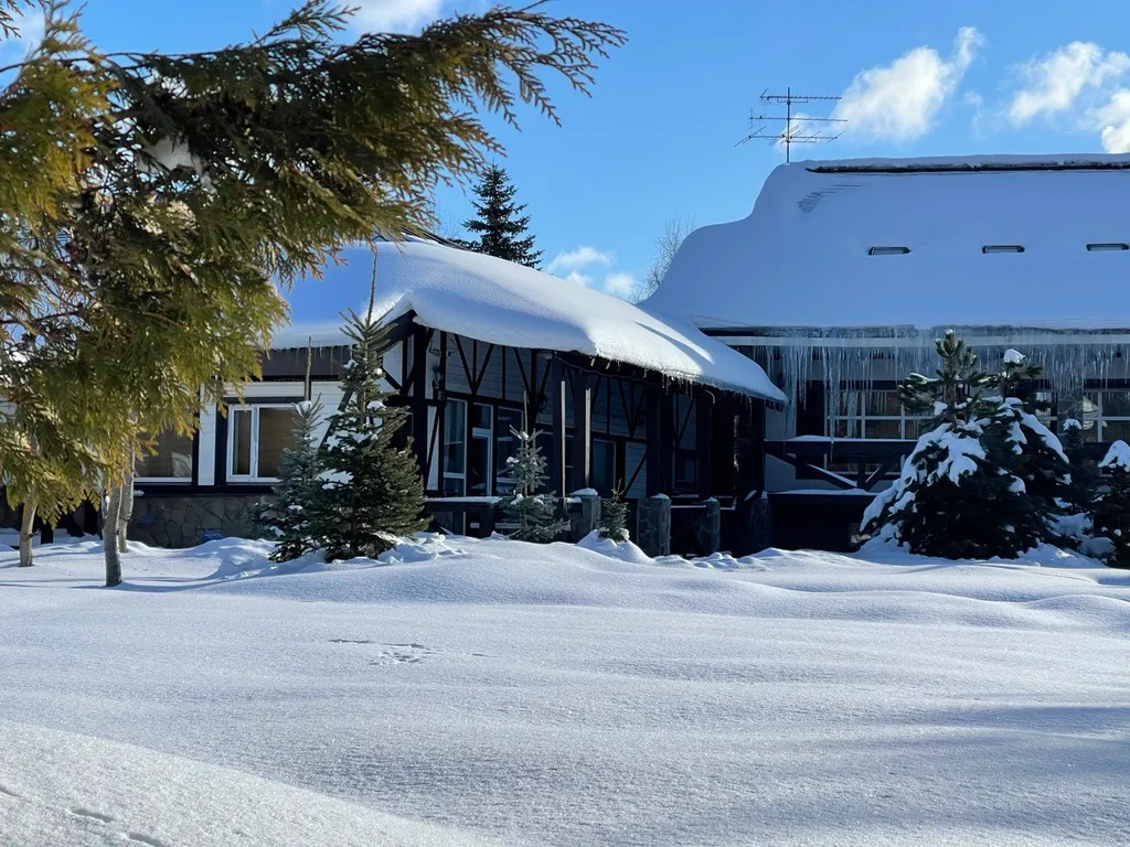 Уютный загородный дом с баней и бассейном