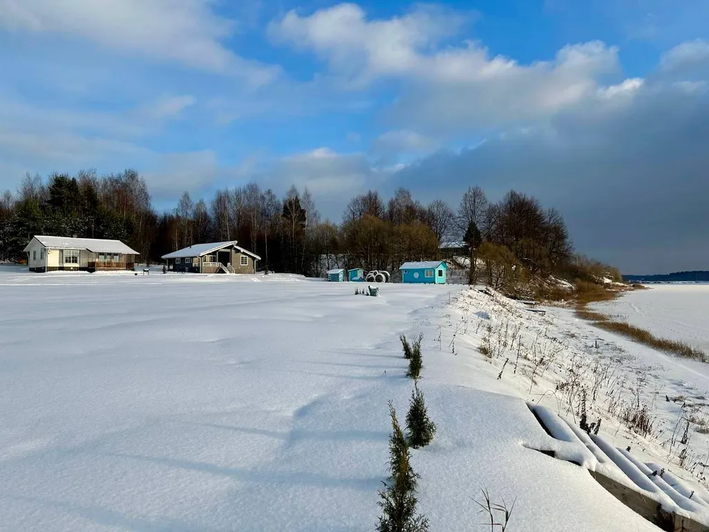 Дом Радха в Березовой роще