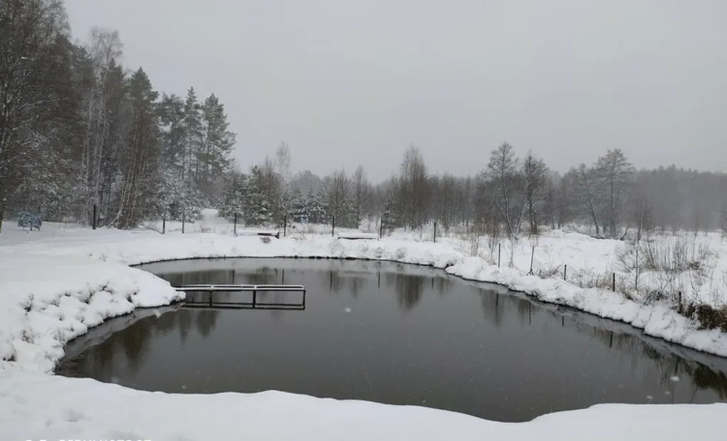 Хутор Избушка на опушке леса, возле реки