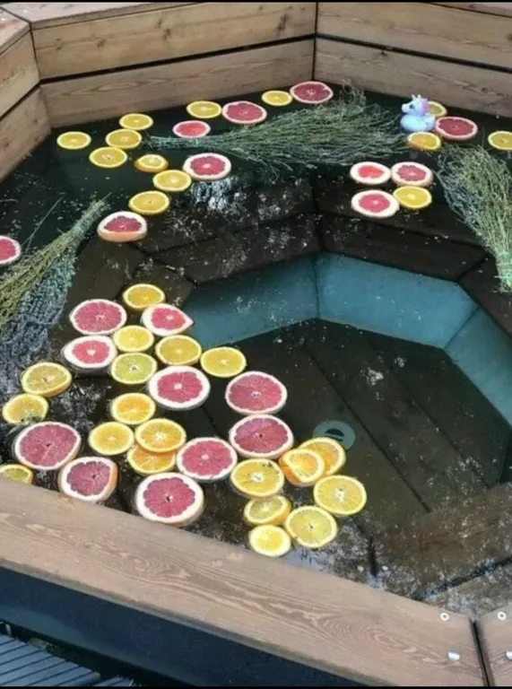 Дом на берегу леса