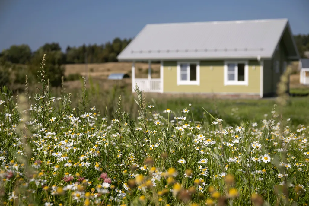 Спящий залив