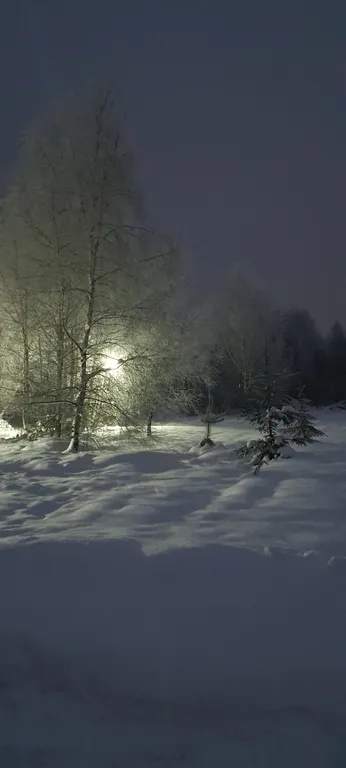 Коттедж Дом (A) с сауной и видом на лес — Пашуково