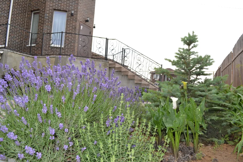 Уютный дом с зеленой лужайкой