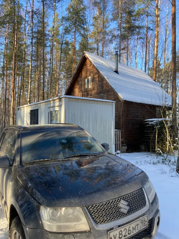 Хижина в лесу на берегу озера без соседей