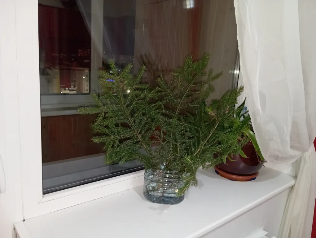 Уютная квартира-студия с видом на озеро