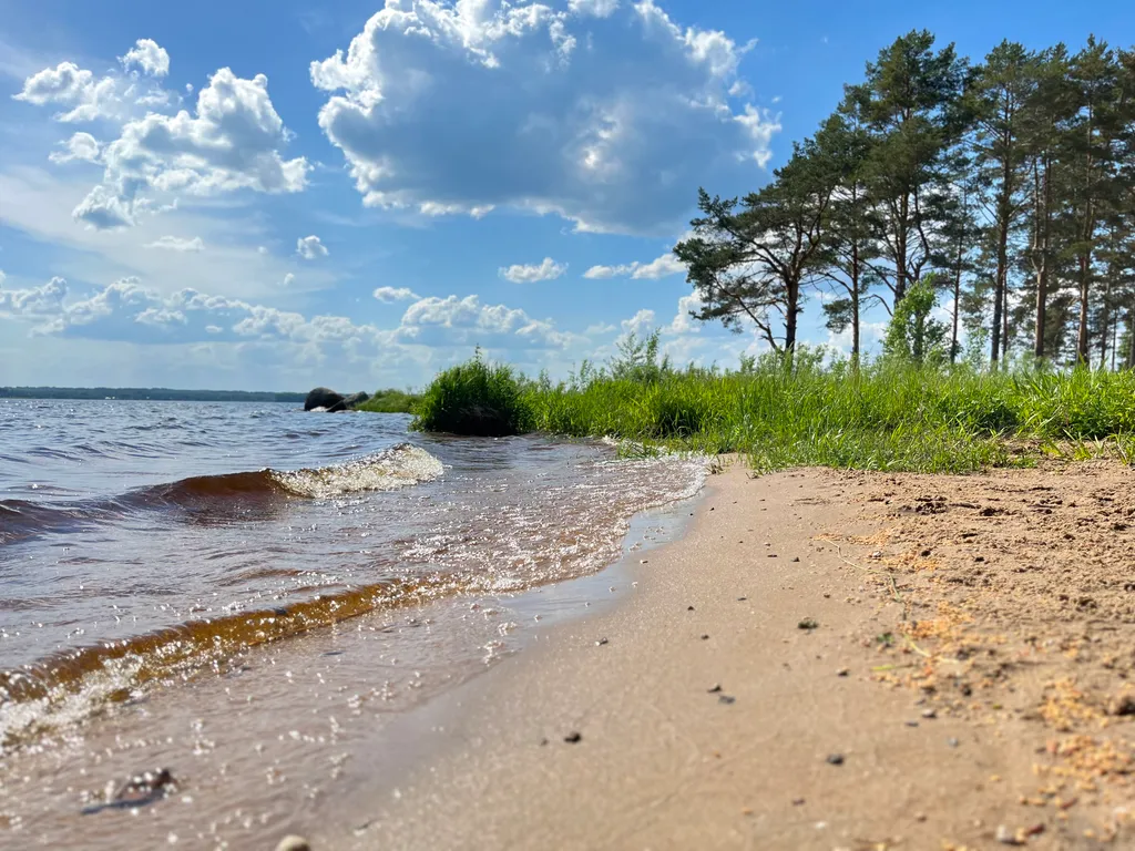 Коттедж Коттедж Гармония леса на берегу озера Волго на Селигере — Турбаза Чайка
