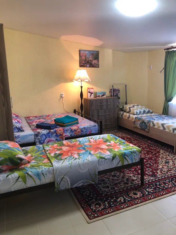 Квартира-студия с кухней и со своей ванной комнатой