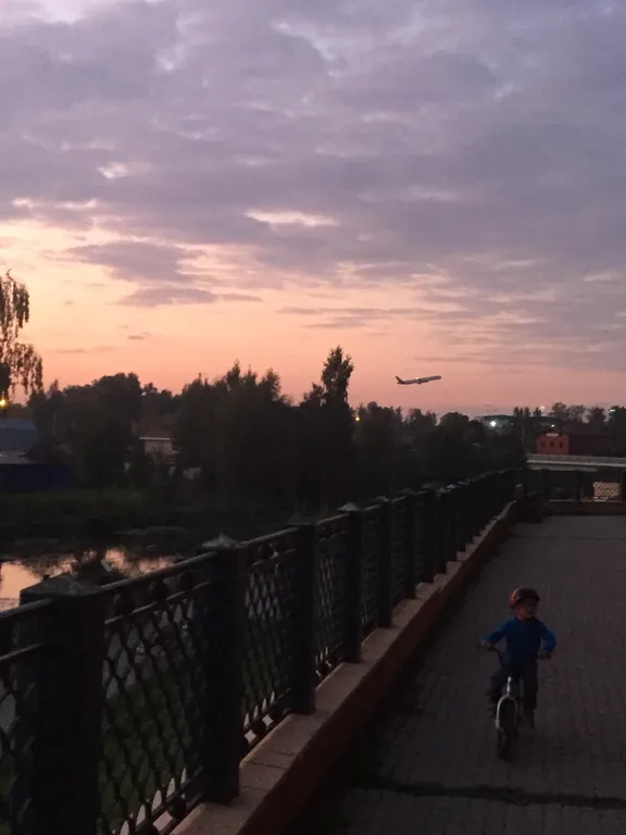 Мансарда рядом с шереметьево