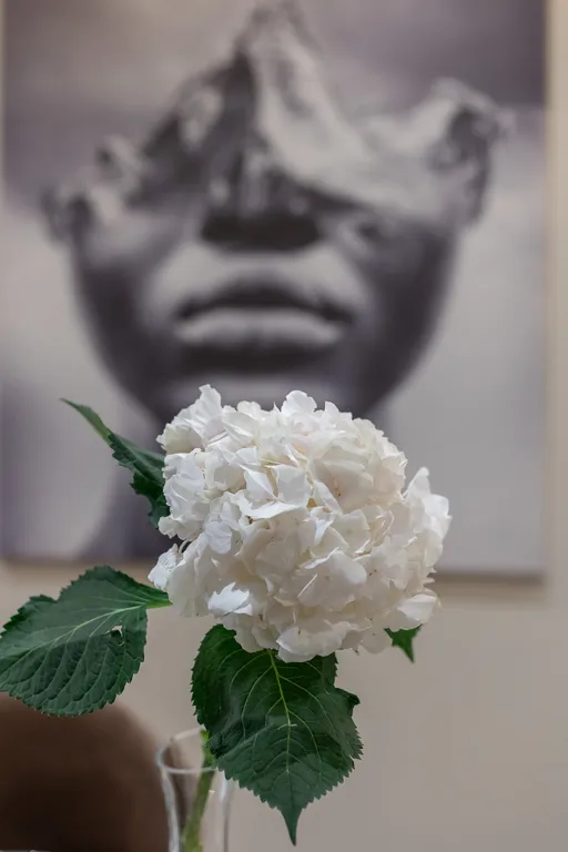 Апартаменты Светлана парк Премиум на берегу моря