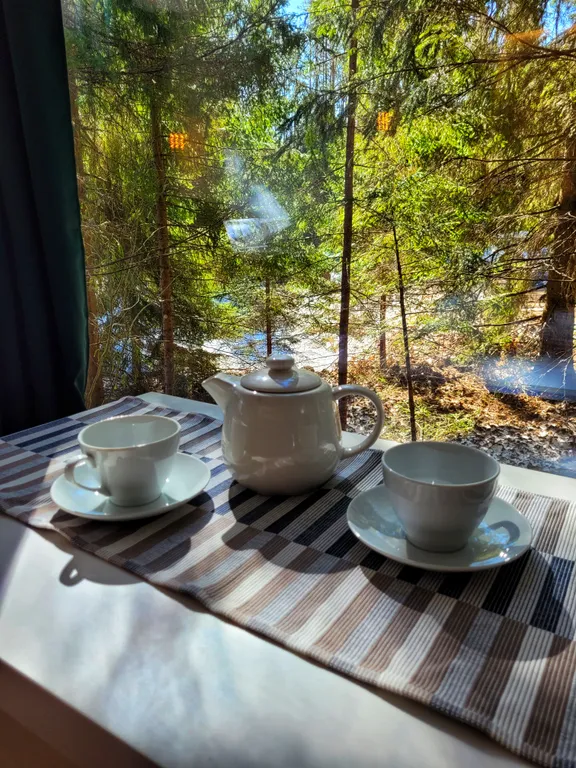 Коттедж комфорт класса с видом на лес