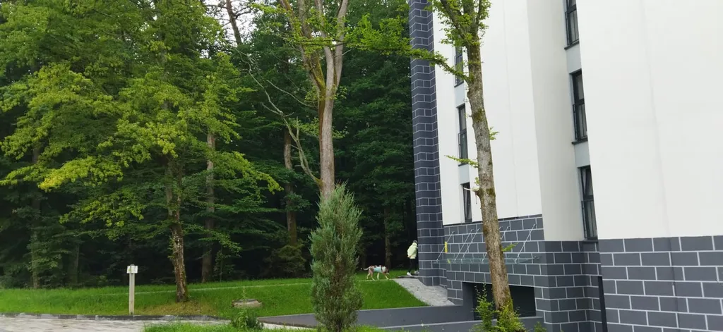 Апартамент с видом на лес