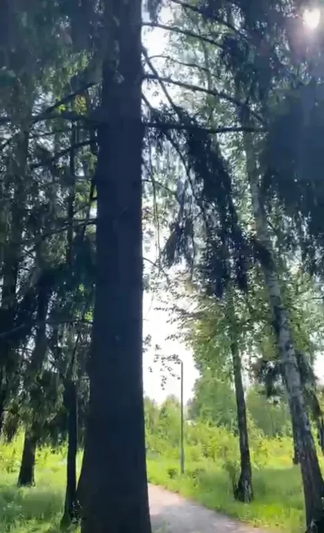 Дом для семейного отдыха