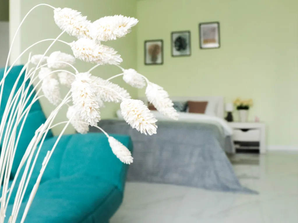 Стильная и по-домашнему уютная студия! Бесконтактно! Ждём!