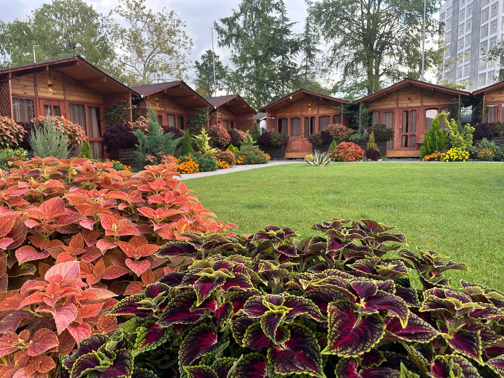 Коттедж 1-комнатный Дом — Гагра