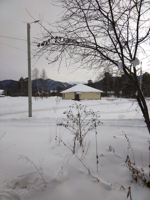 3х комнатная квартира