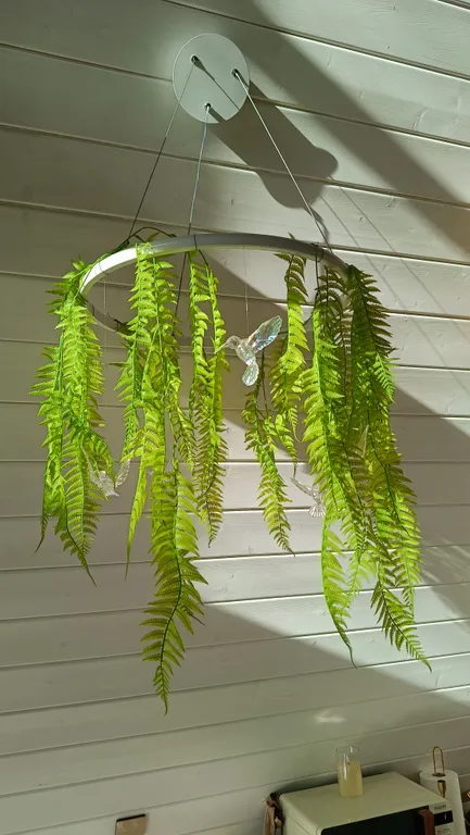 Чарующий дом Птички