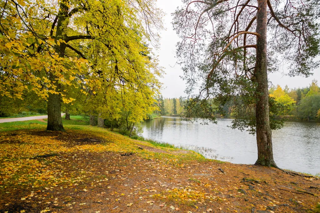 Коттедж Коттедж База отдыха Гармония — Ломоносов