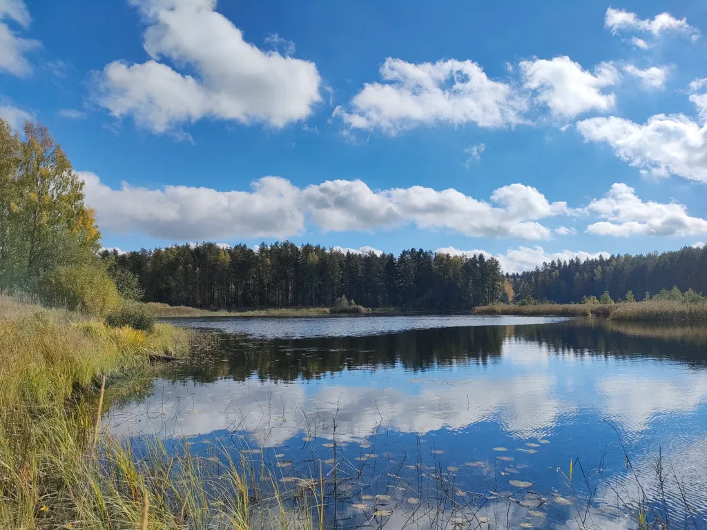 Валдай Дальняя Дача