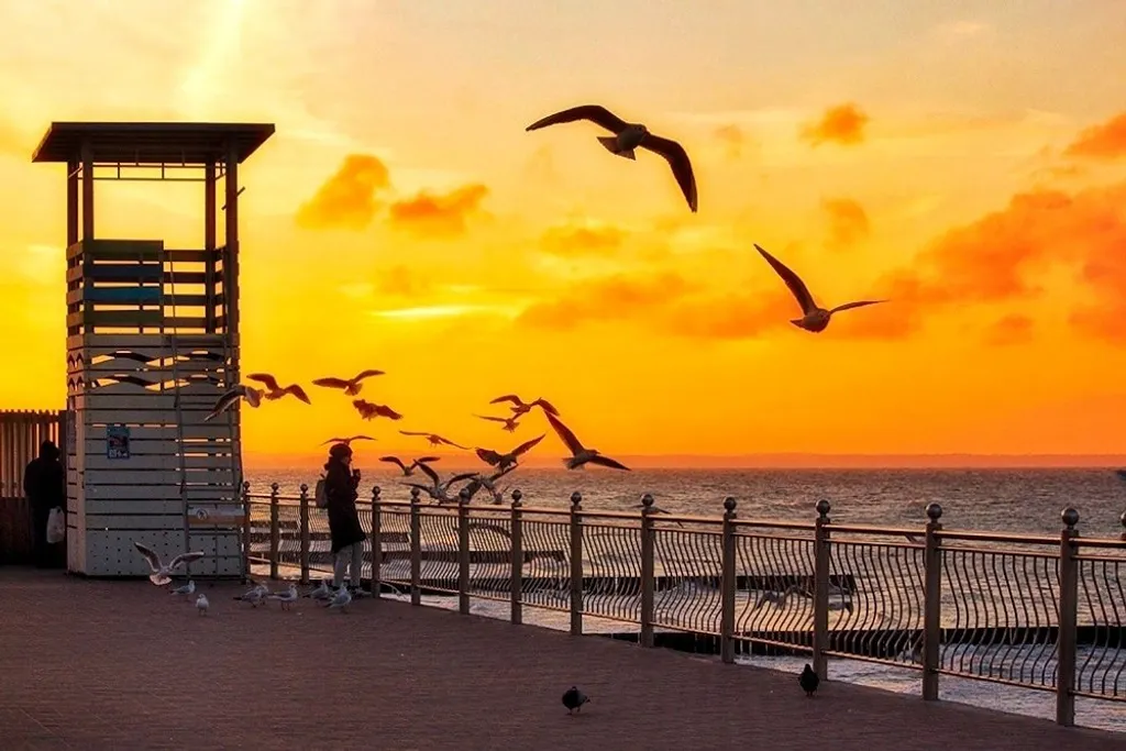 Квартира Квартира Новая атмосферная просторная — Светлогорск