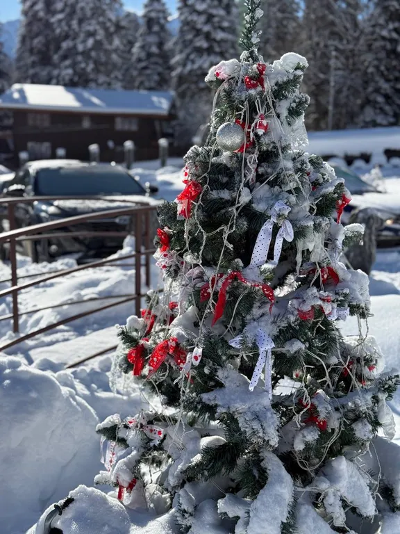 2-комнатный Дом