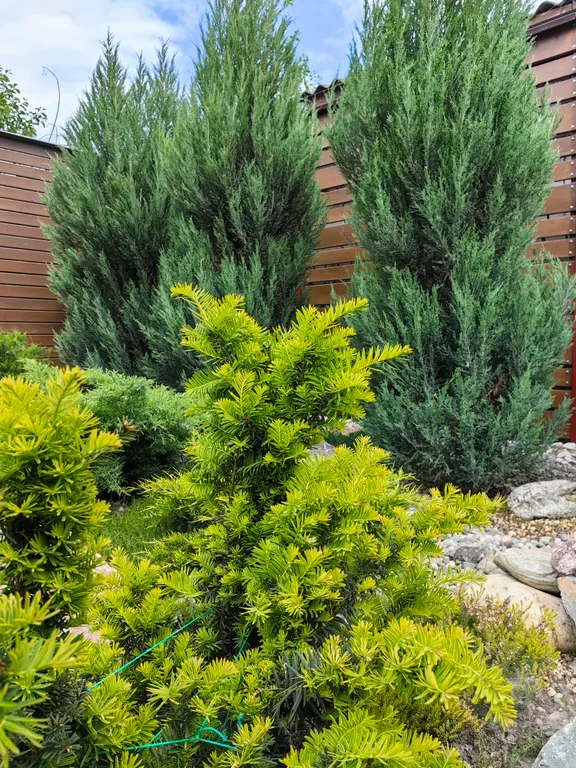 Коттедж с домашней атмосферой