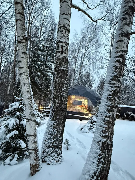 Новая сфера для глэмпинга Бёрд&Self vibe с дизайнерским интерьером