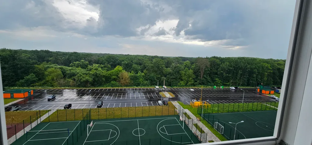 Современная студия с видом на лес