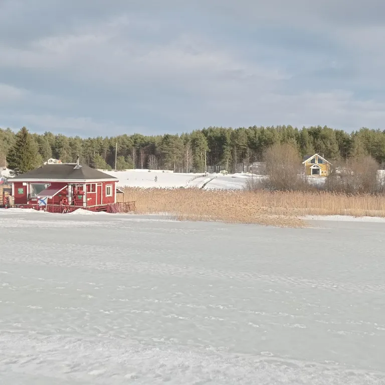 Современный дом на берегу Ладоги
