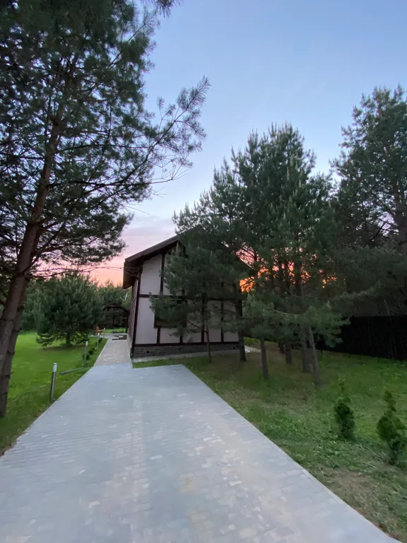 Дом в окружении соснового леса