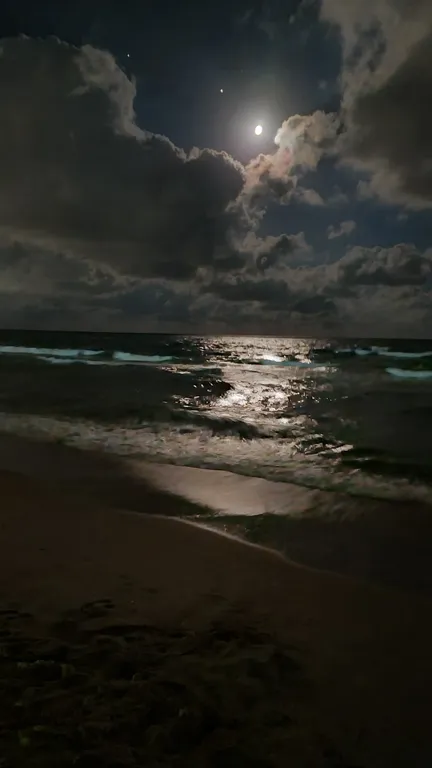 Квартира Апартаменты с отдельной лаунж-зоной и видом на море — Анапа