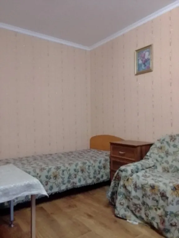 Уютная квартира в тихом месте в стиле ретро СССР