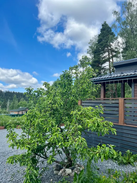 Загородный дом на берегу Ладожского озера