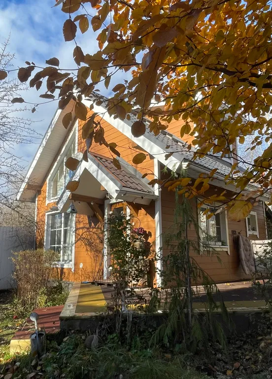 Домик-баня с камином