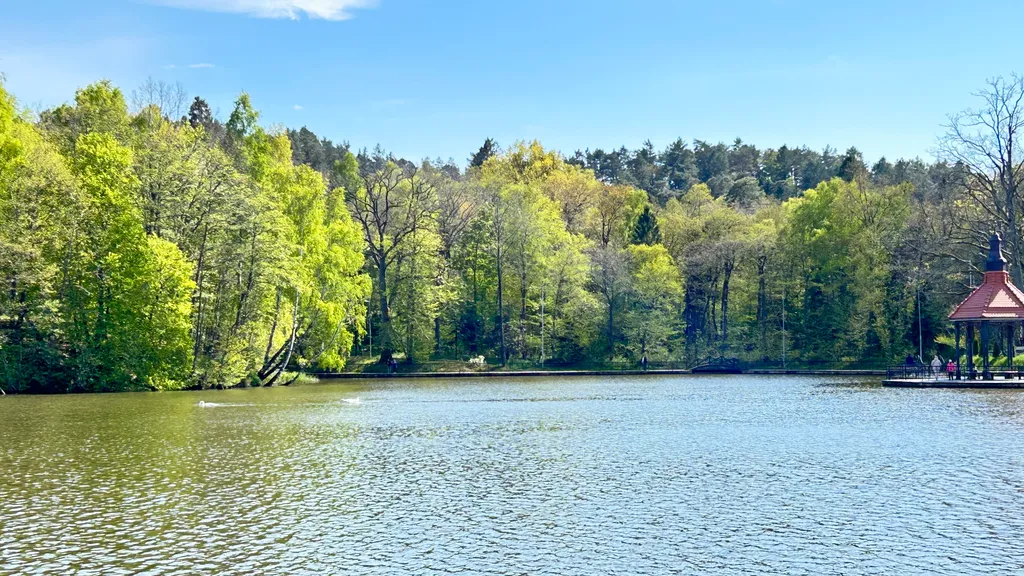 Квартира Уютная квартира-студия — Светлогорск