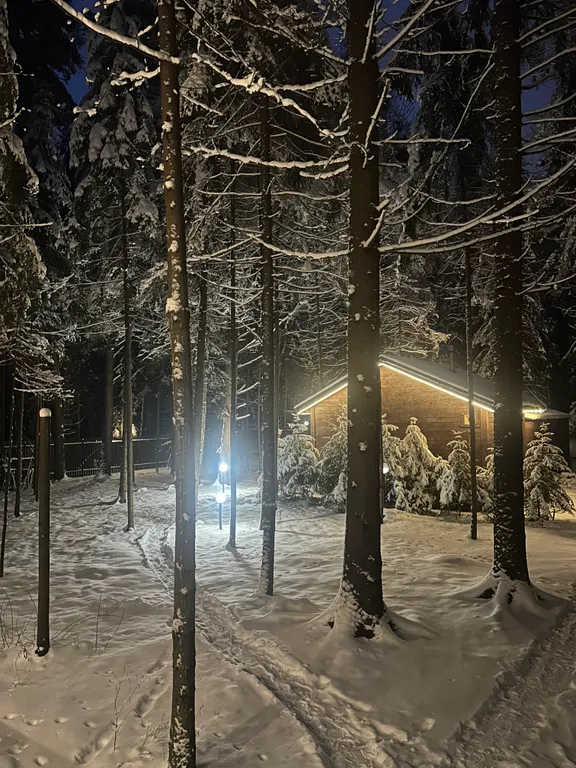 Уютный дом с баней в лесу