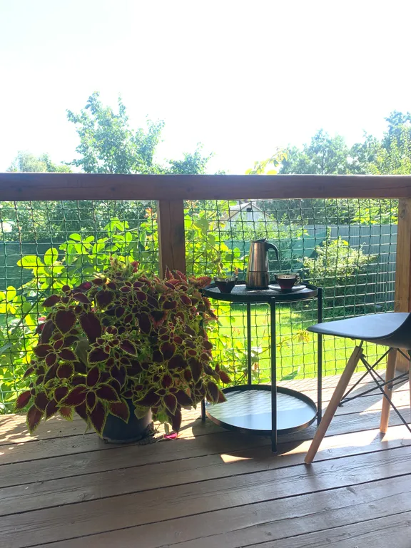 Уютный дом с можжевельником