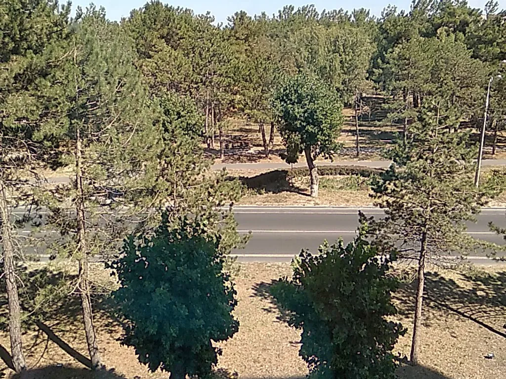 Апартаменты у моря. Первая линия