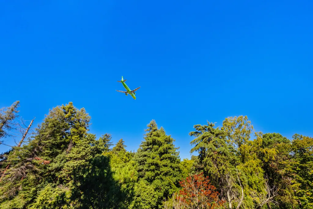 Квартира Квартира Уютная студия в парке Южных культур — Сириус