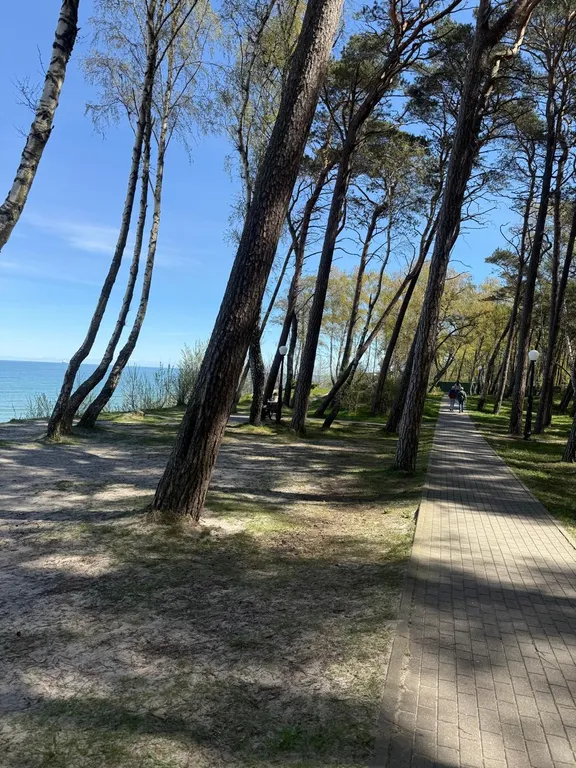 Квартира Уютная квартира с видом на море — Пионерский