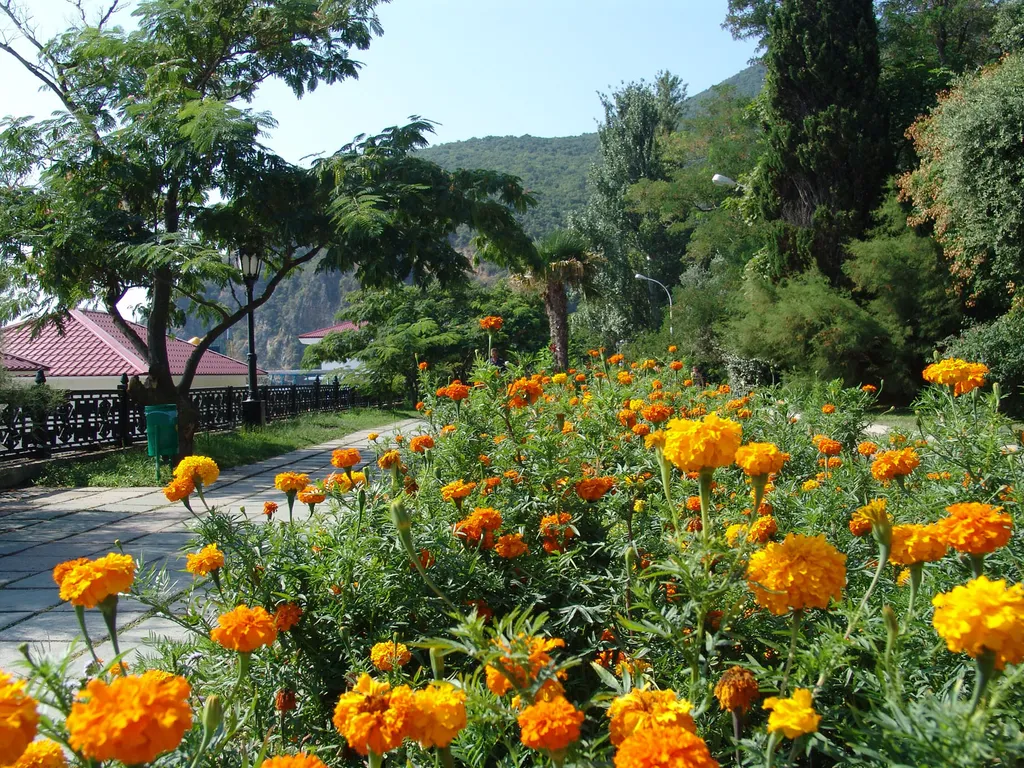 Уютная квартира в центральной части