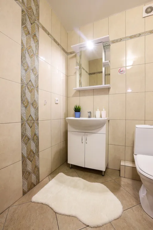 Просторная квартира для компании или семьи