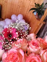 Джема Хашиг