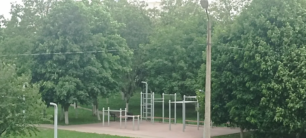 Квартира напротив Линии